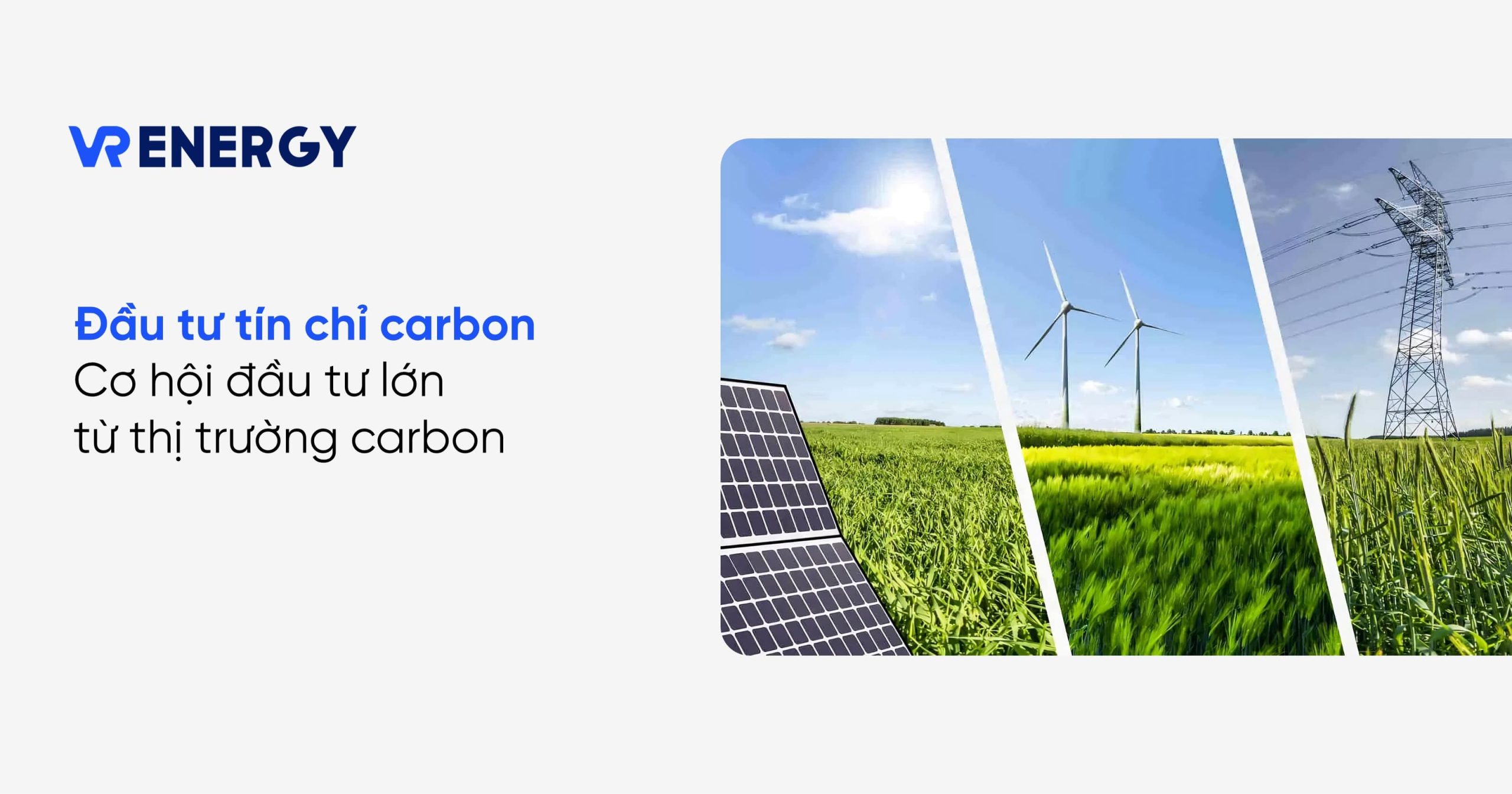Đầu tư tín chỉ carbon: Cơ hội đầu tư lớn từ thị trường carbon