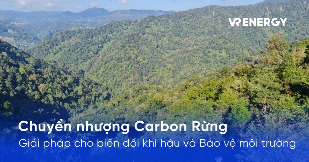 Chuyển nhượng Carbon Rừng: Giải pháp cho Biến đổi khí hậu và Bảo vệ môi trường