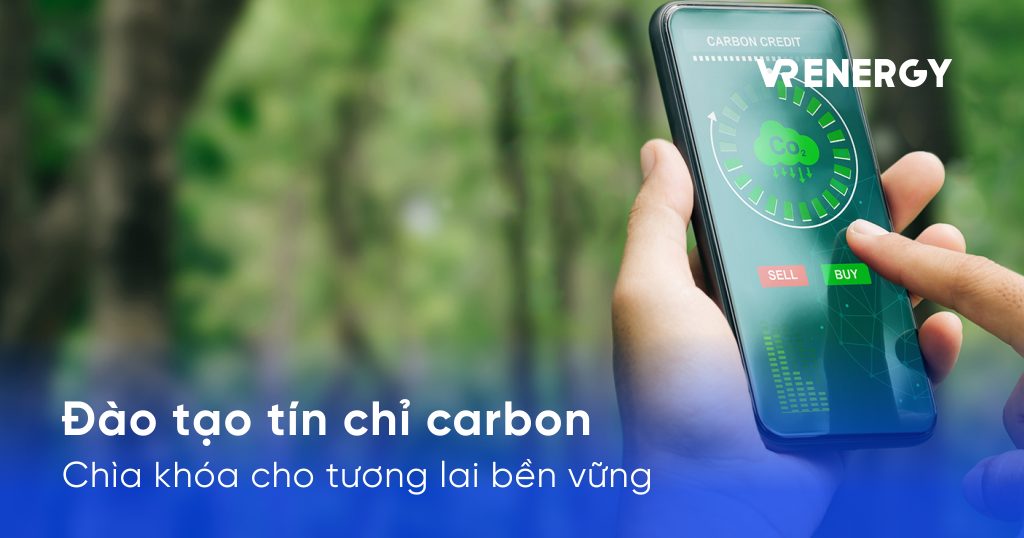 Đào tạo tín chỉ carbon: Chìa khóa cho tương lai bền vững