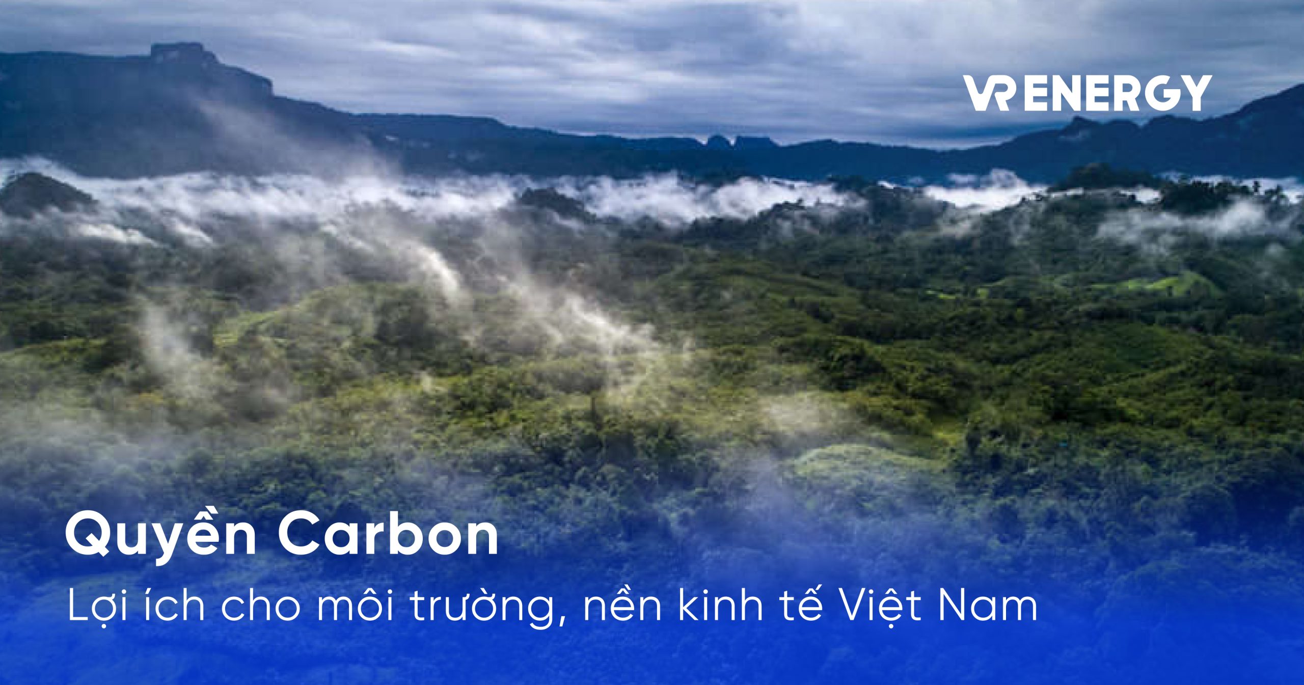 Quyền Carbon & Lợi ích cho môi trường, nền kinh tế Việt Nam