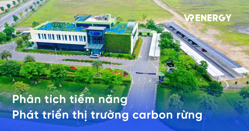 Phân tích tiềm năng phát triển thị trường tín chỉ carbon rừng
