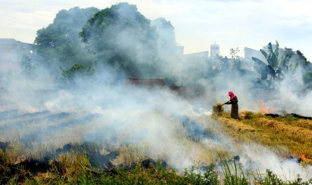 4 Giải pháp giảm phát thải khí CO2 trong ngành nông nghiệp 9 CO2 là khí nhà kính có tác động mạnh nhất đến biến đổi khí hậu