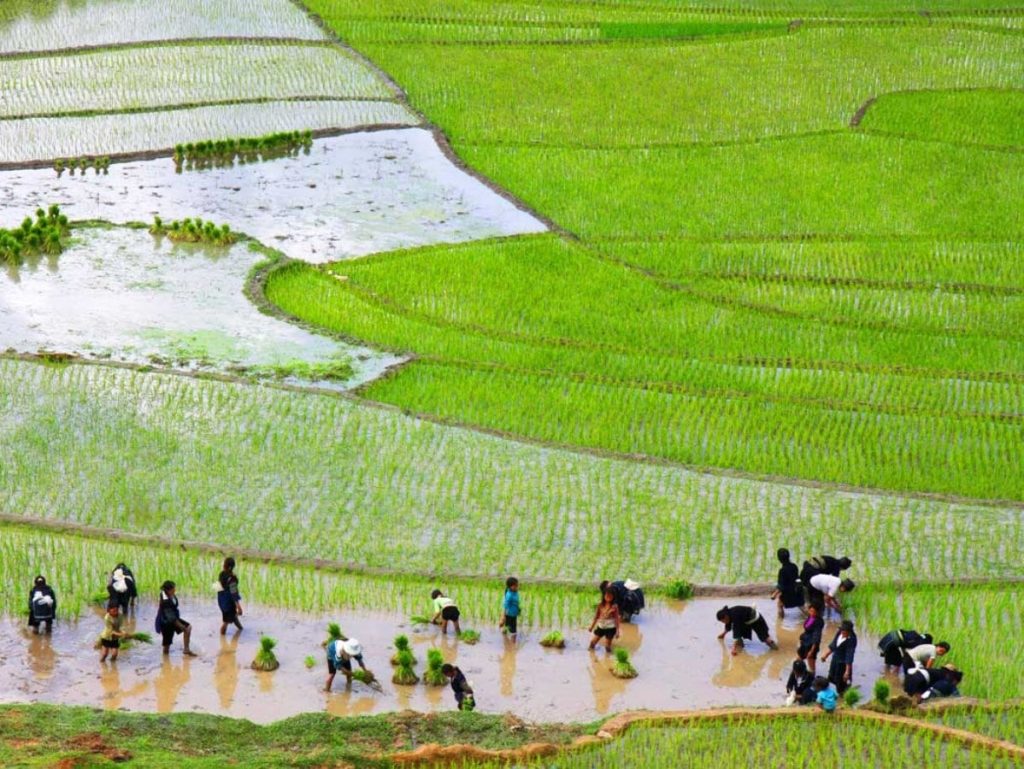 4 Giải pháp giảm phát thải khí CO2 trong ngành nông nghiệp 10 Ngành nông nghiệp đóng góp một lượng khí thải CO2 đáng kể vào bầu khí quyển, ảnh hưởng đến biến đổi khí hậu và môi trường.