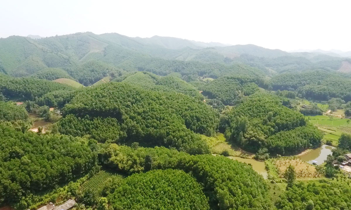 5 Giải pháp giảm phát thải khí CO2 cho các ngành công nghiệp 15 Các ngành công nghiệp có thể đầu tư trồng rừng để bù đắp lượng khí CO2 thải ra trong quá trình sản xuất