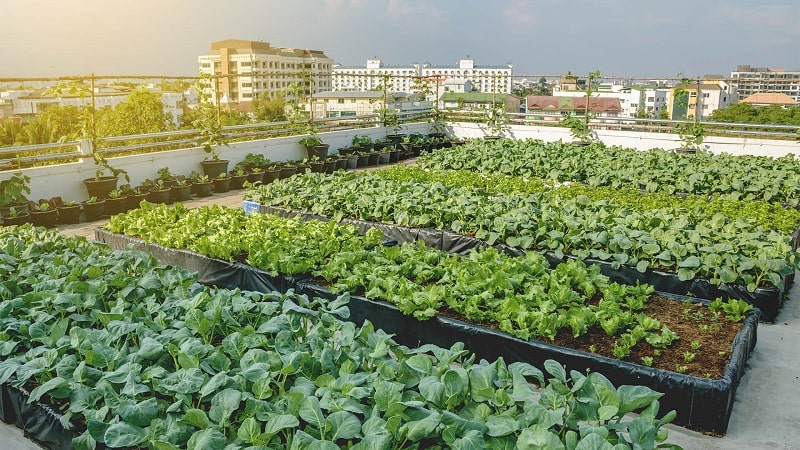 Có 2 phương pháp chính để đo lường dấu chân carbon: Dựa trên hoạt động & Dựa trên sản phẩm