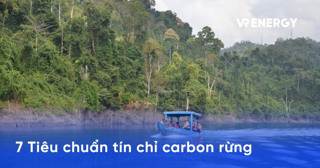 7 Tiêu chuẩn Tín chỉ carbon rừng phổ biến nhất hiện nay 8 7 Tiêu chuẩn Tín chỉ carbon rừng phổ biến nhất hiện nay