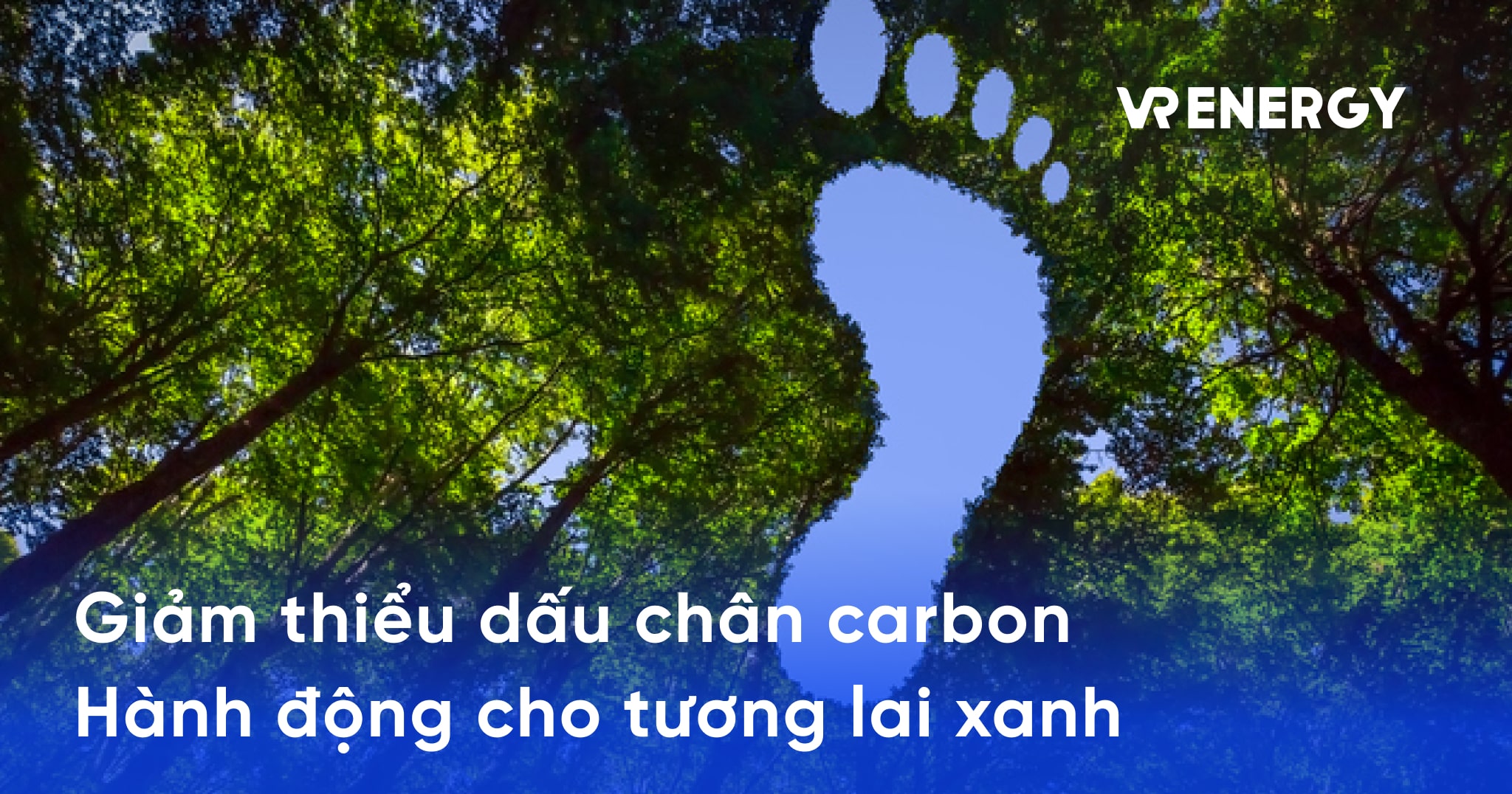 Giảm dấu chân carbon: Hành động cho tương lai xanh