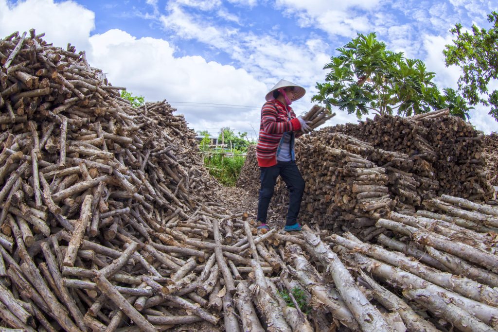 Những mô hình năng lượng sạch đang được phát triển tại Việt Nam 9 nhung mo hinh nang luong sach dang duoc phat trien tai viet nam 3 min