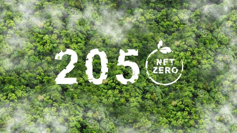 Net Zero là gì? 6 net zero la gi 3 min