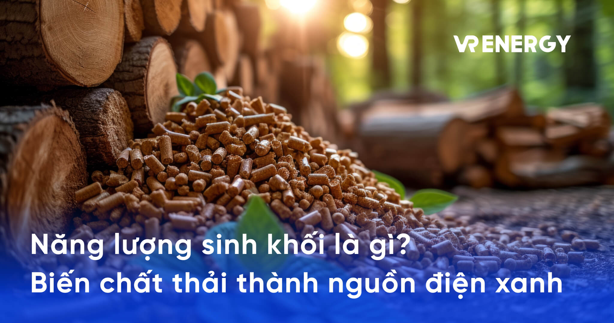 Năng lượng sinh khối là gì_ Biến chất thải thành nguồn điện xanh - năng lượng sinh khối